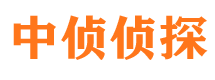 内乡捉小三公司